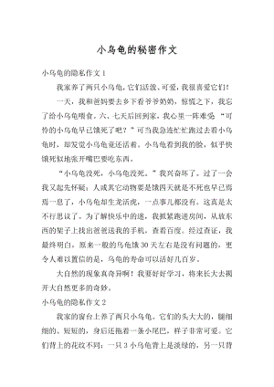 小乌龟的秘密作文精选.docx