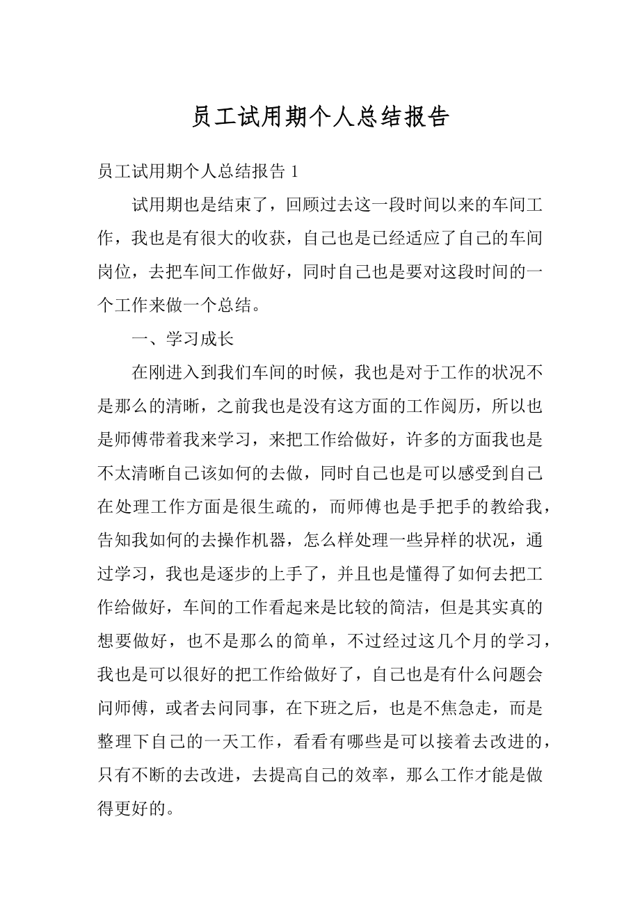 员工试用期个人总结报告范文.docx_第1页