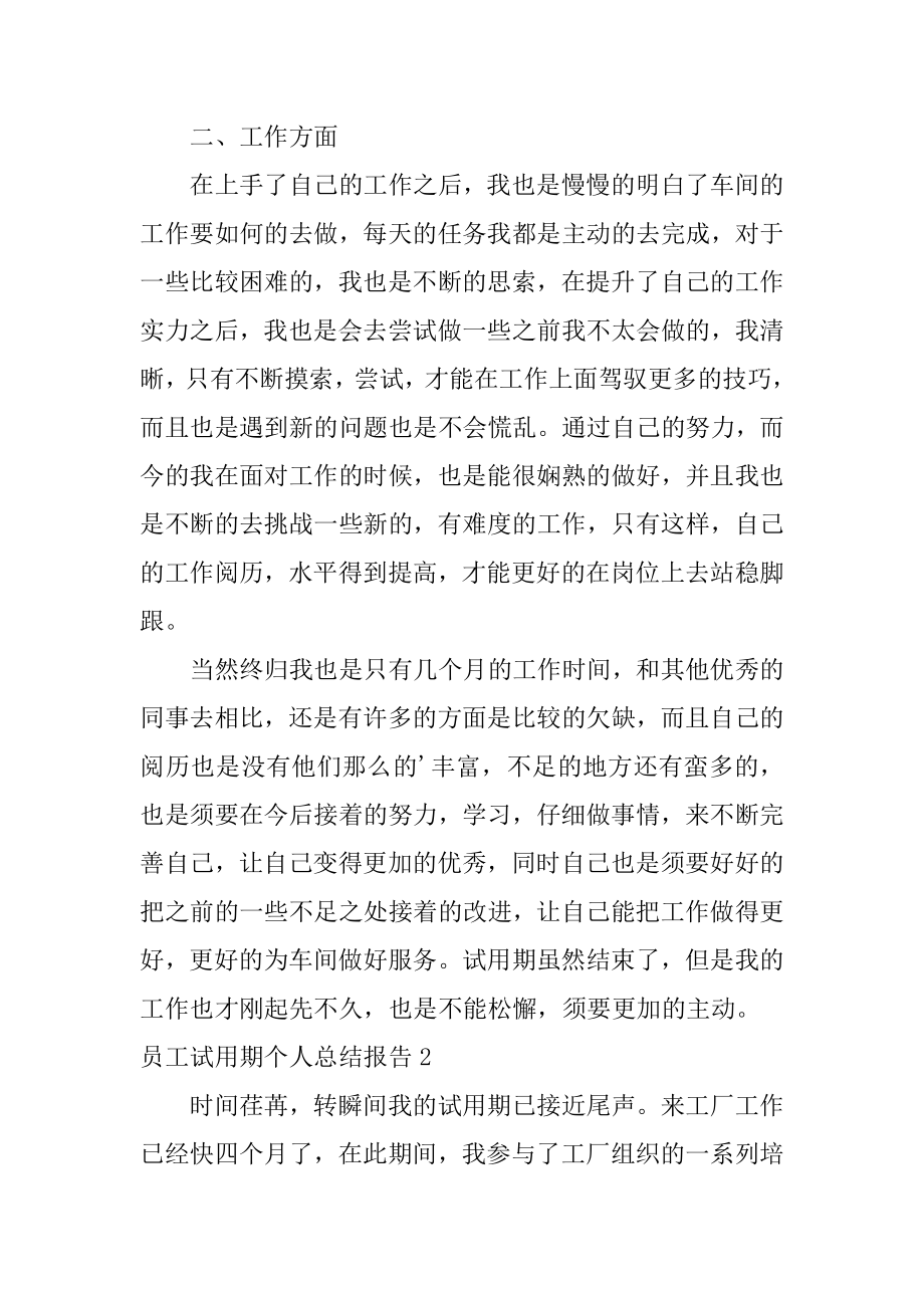 员工试用期个人总结报告范文.docx_第2页