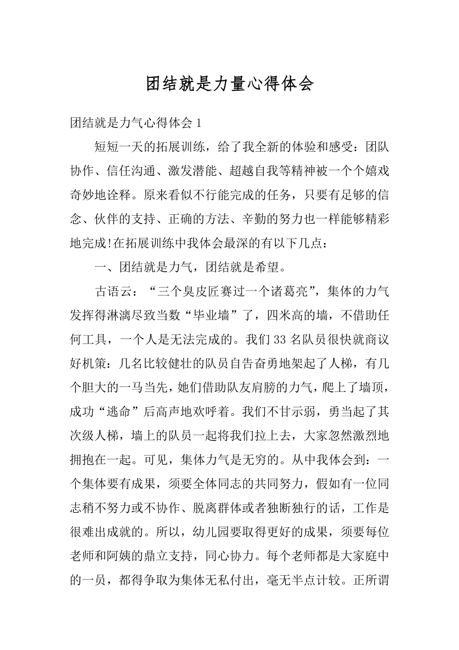 团结就是力量心得体会优质.docx_第1页