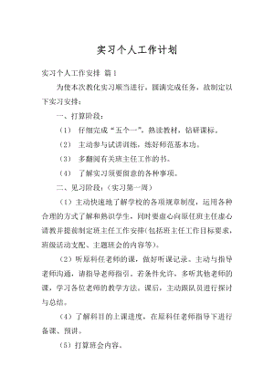 实习个人工作计划精编.docx