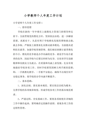 小学教师个人年度工作计划精编.docx