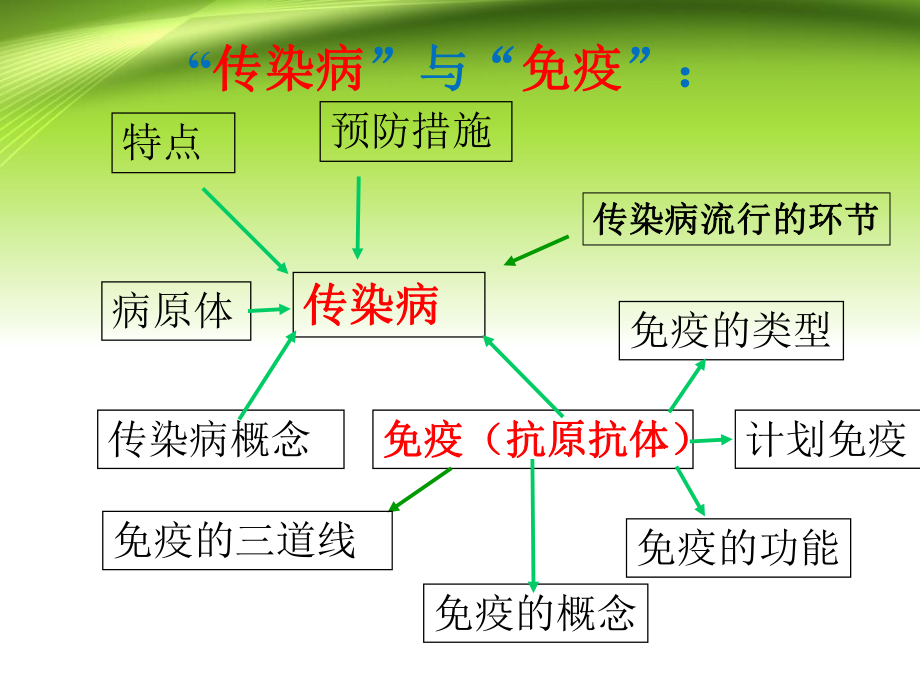 传染病与免疫复习课件ppt.ppt_第1页