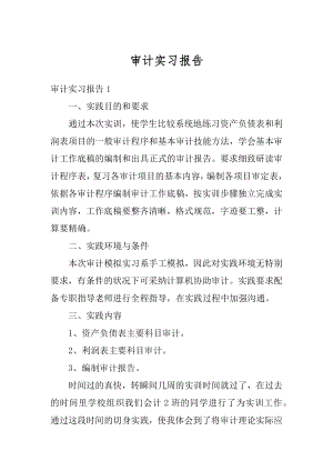 审计实习报告优质.docx