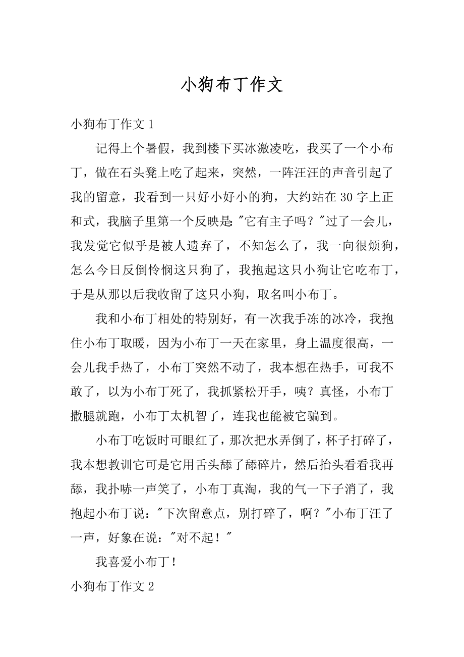 小狗布丁作文精选.docx_第1页