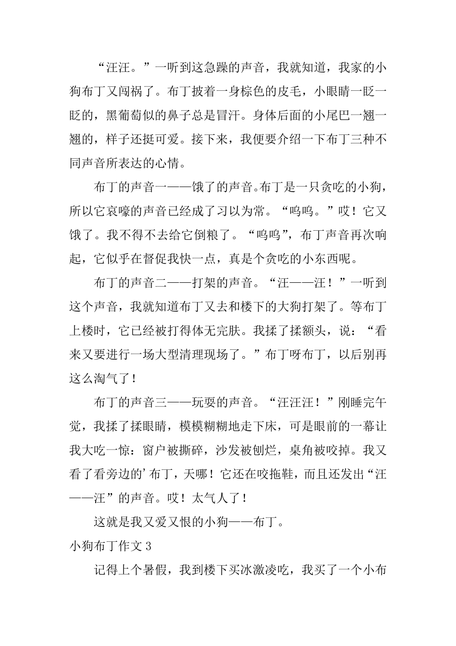 小狗布丁作文精选.docx_第2页