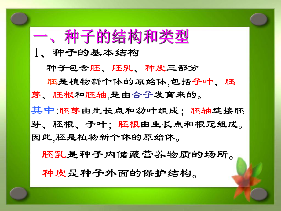 最新包头联赛辅导——种子、果实和幼苗幻灯片.ppt_第2页