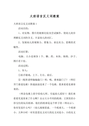 大班语言反义词教案优质.docx