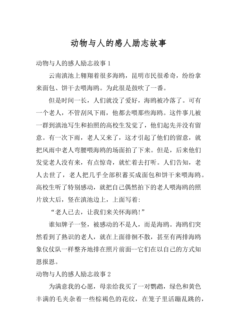 动物与人的感人励志故事例文.docx_第1页