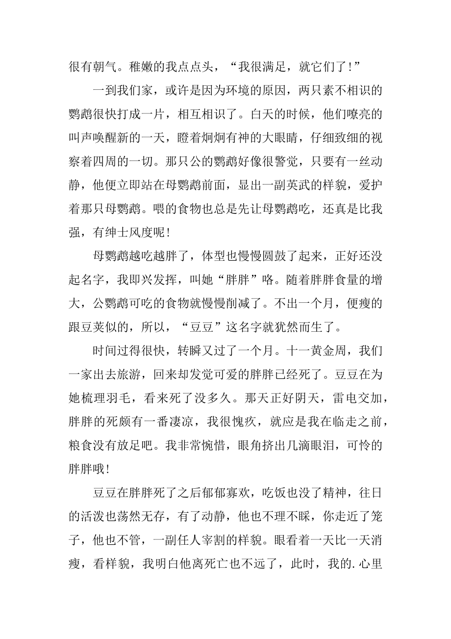 动物与人的感人励志故事例文.docx_第2页