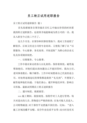 员工转正试用述职报告范文.docx