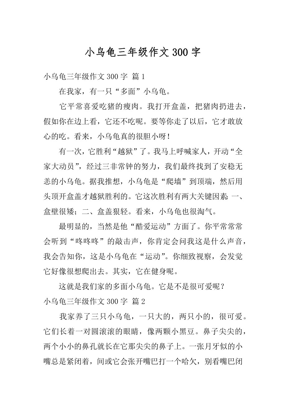 小乌龟三年级作文300字汇总.docx_第1页