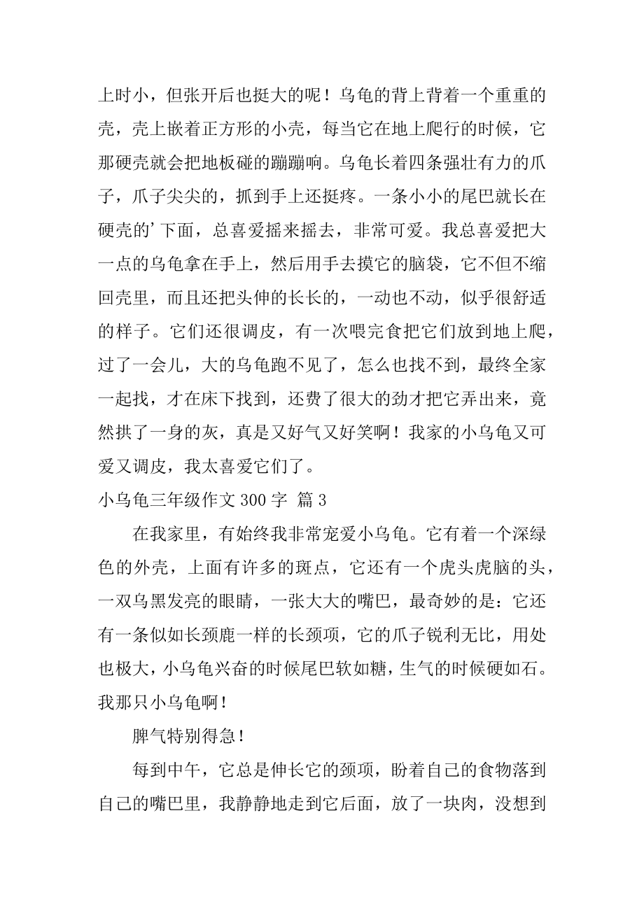 小乌龟三年级作文300字汇总.docx_第2页