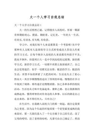 大一个人学习自我总结优质.docx