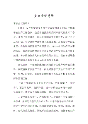 安全会议总结精选.docx