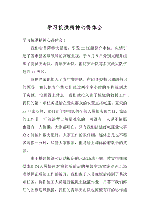 学习抗洪精神心得体会范本.docx