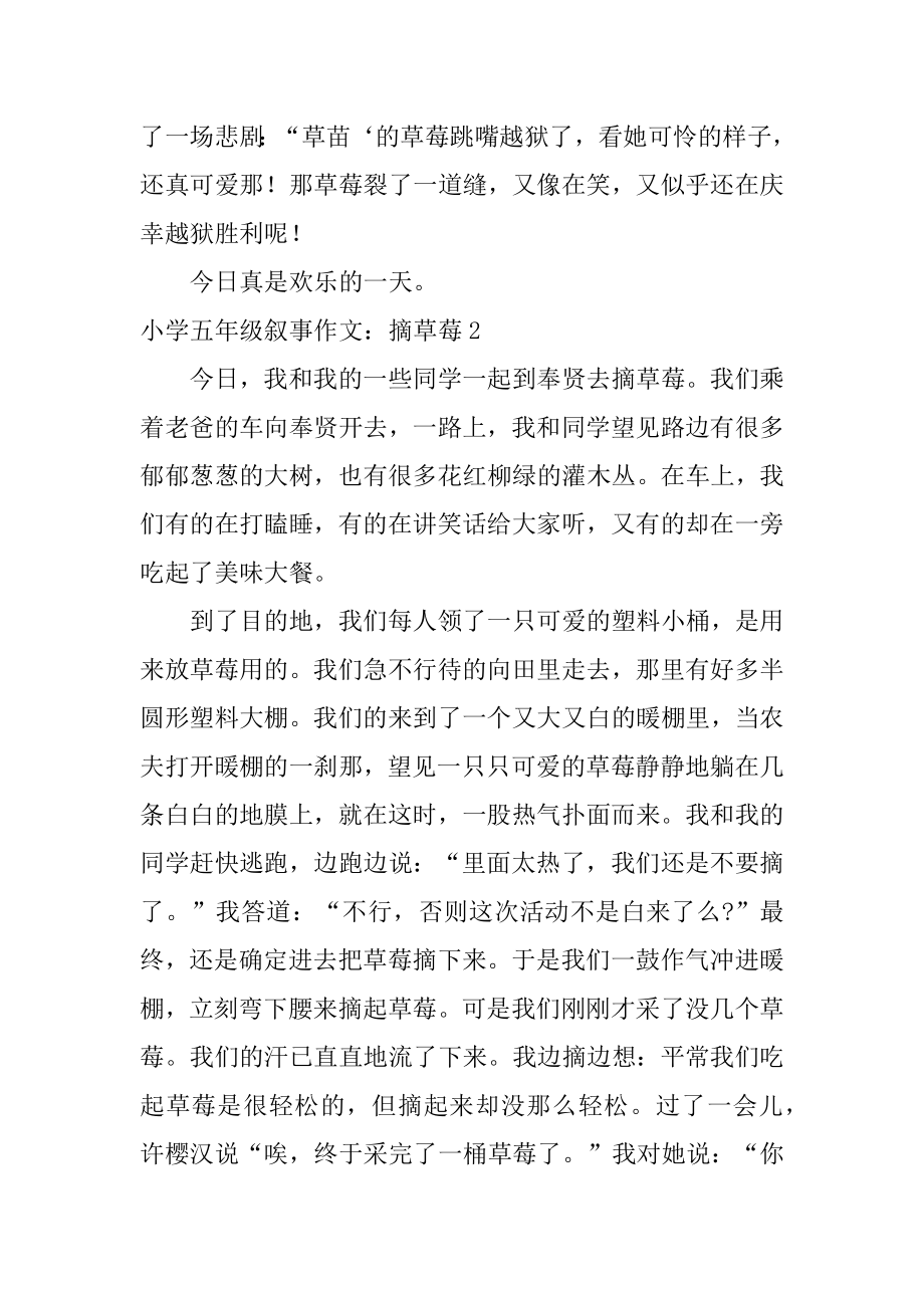 小学五年级叙事作文：摘草莓优质.docx_第2页