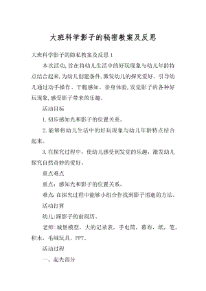 大班科学影子的秘密教案及反思例文.docx