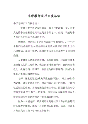 小学教师实习自我总结例文.docx