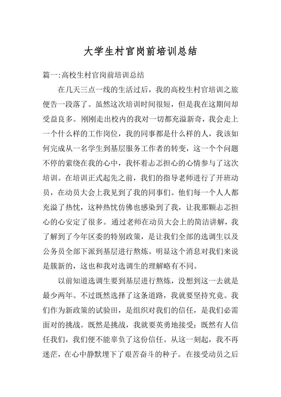 大学生村官岗前培训总结范例.docx_第1页