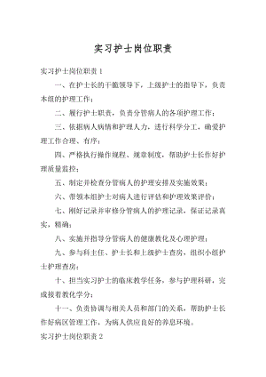 实习护士岗位职责汇编.docx