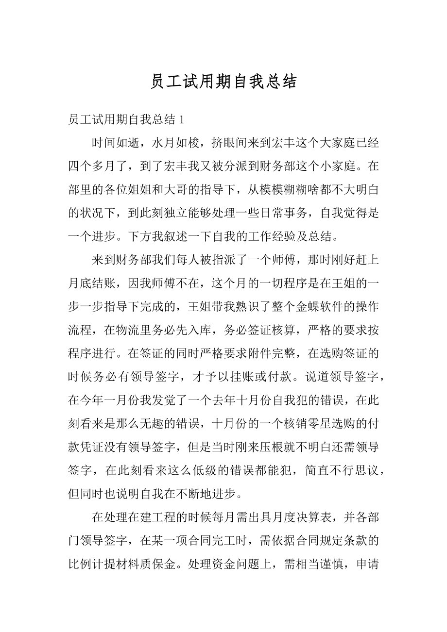 员工试用期自我总结精编.docx_第1页