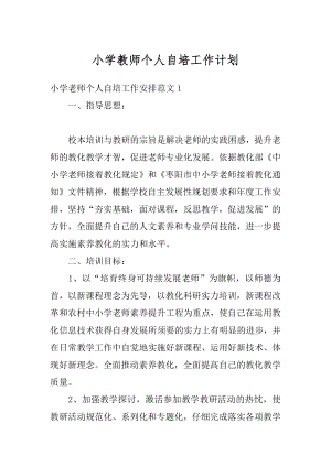 小学教师个人自培工作计划汇总.docx