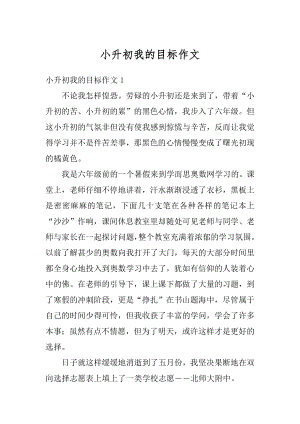 小升初我的目标作文精编.docx