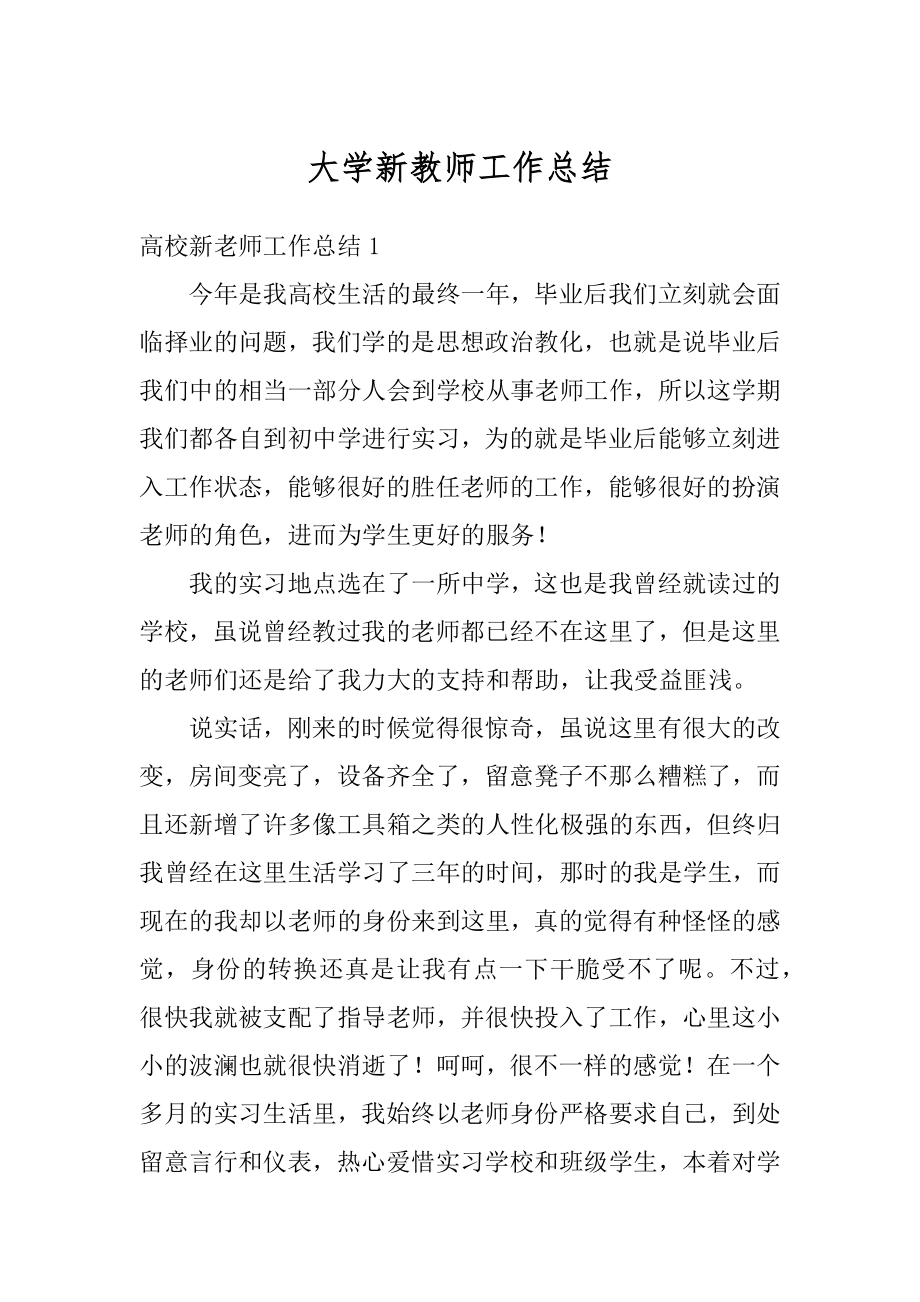 大学新教师工作总结汇编.docx_第1页