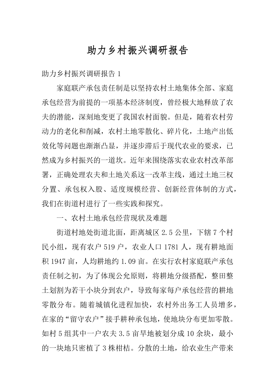 助力乡村振兴调研报告精编.docx_第1页