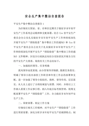 安全生产集中整治自查报告例文.docx