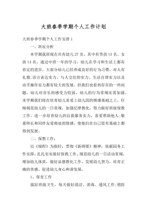 大班春季学期个人工作计划汇编.docx