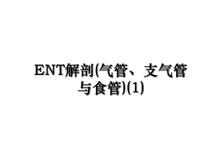 ENT解剖(气管、支气管与食管)(1).ppt