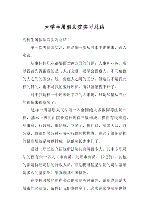 大学生暑假法院实习总结范本.docx