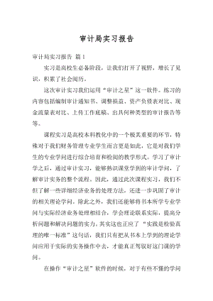 审计局实习报告例文.docx