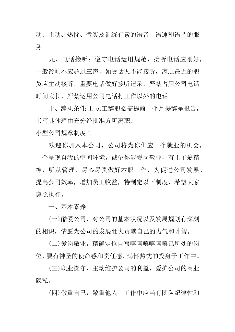 小型公司规章制度优质.docx_第2页