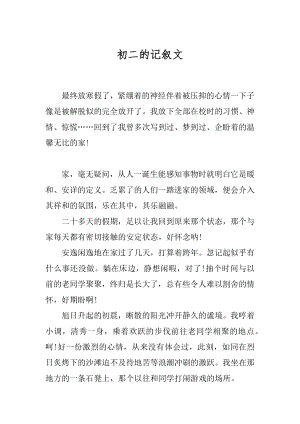 初二的记叙文优质.docx