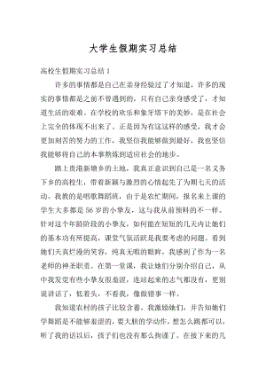 大学生假期实习总结精品.docx