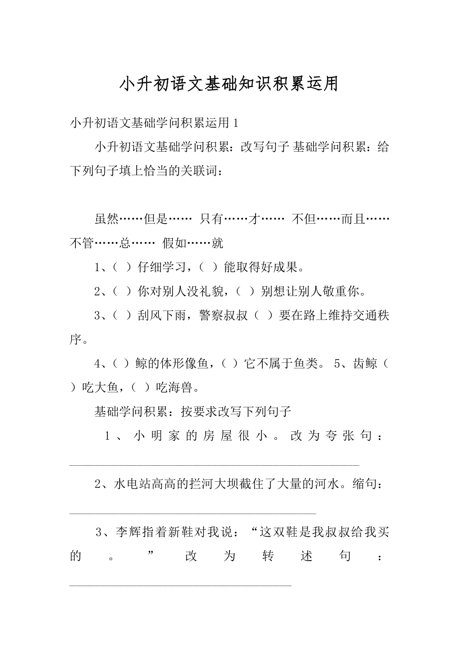 小升初语文基础知识积累运用精选.docx_第1页