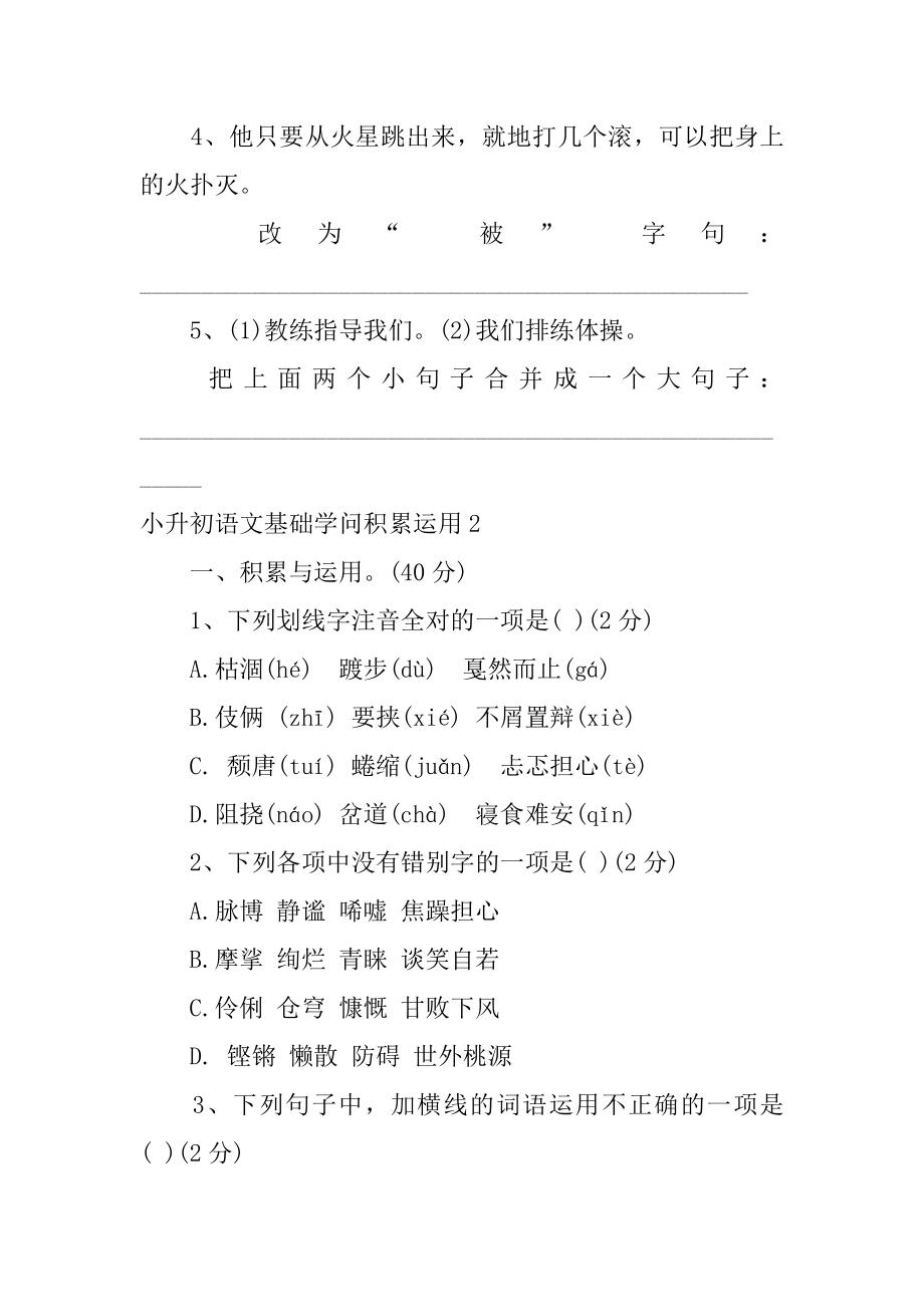 小升初语文基础知识积累运用精选.docx_第2页