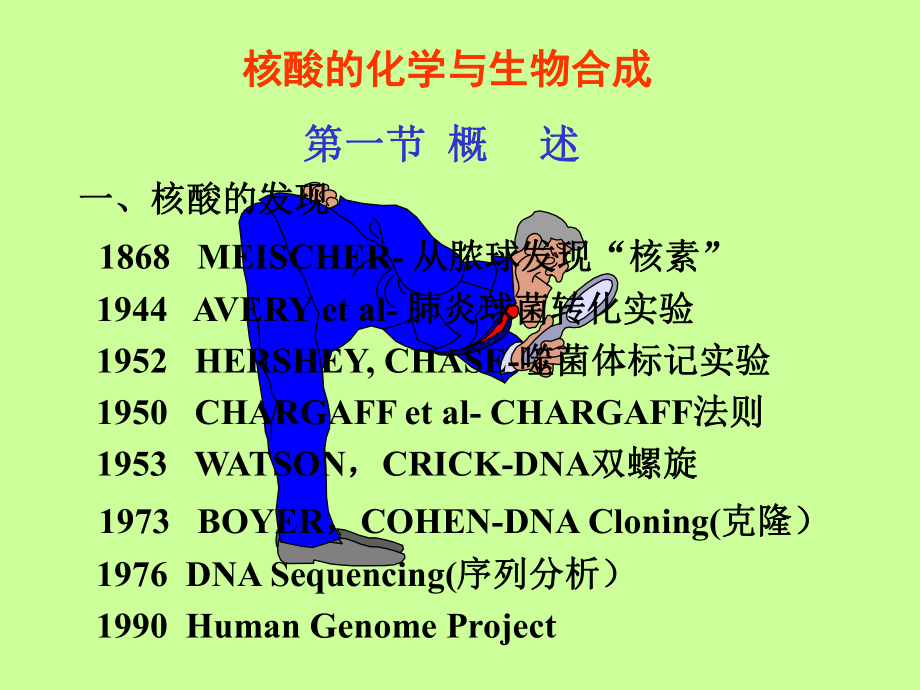 最新北京大学基础医学院生物化学与分子生物学系贾弘禔PPT课件.ppt_第2页