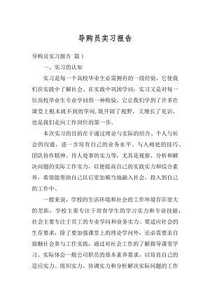 导购员实习报告汇编.docx