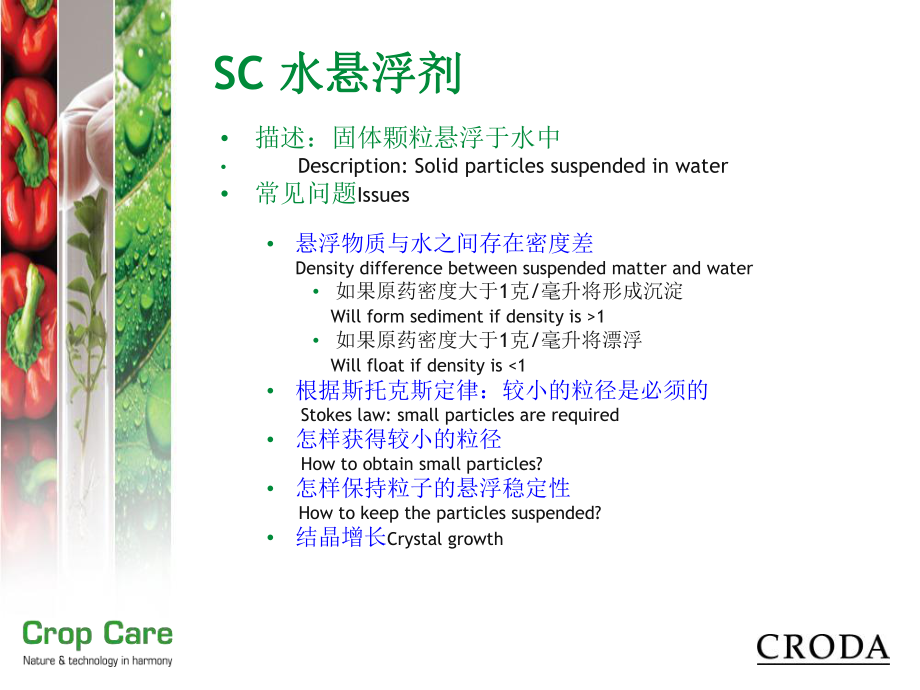 最新包礼SCformulations水悬浮剂精品课件.ppt_第2页