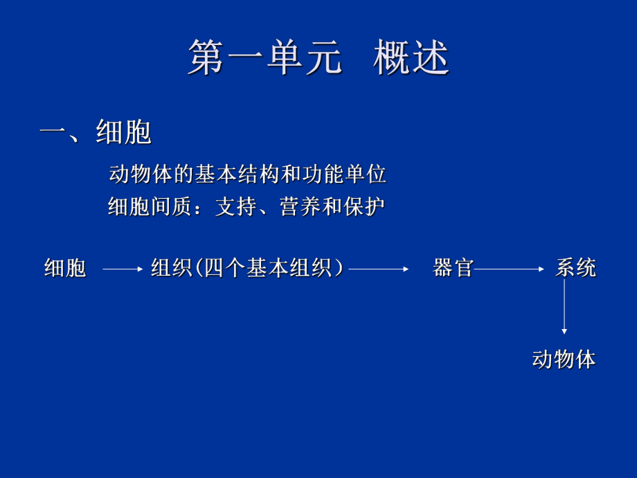 最新动物解剖、组织、胚胎学 PPT课件ppt课件.ppt_第2页