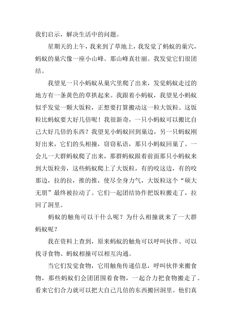 大自然给我的启示作文精选.docx_第2页