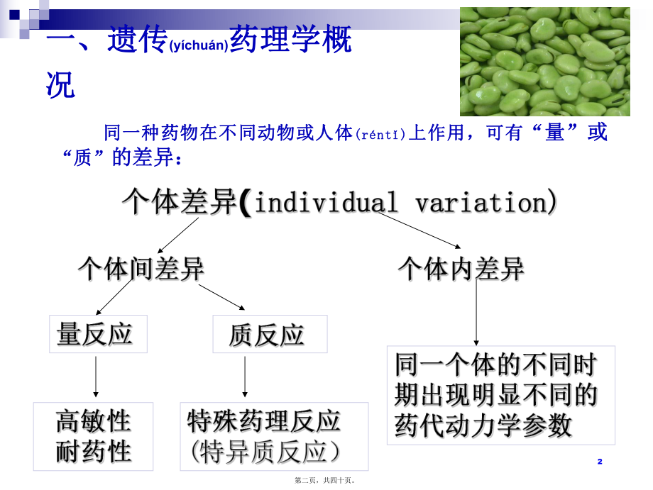 最新7 遗传因素与临床用药.ppt(共40张PPT课件).pptx_第2页