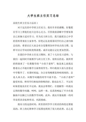 大学生班主任实习总结范例.docx