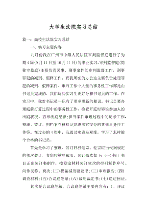 大学生法院实习总结精选.docx