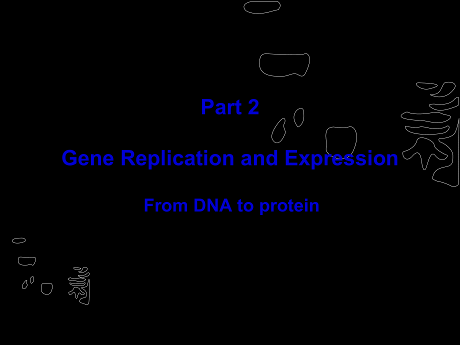 最新Gene Replication and Expression(共126张PPT课件).pptx_第1页