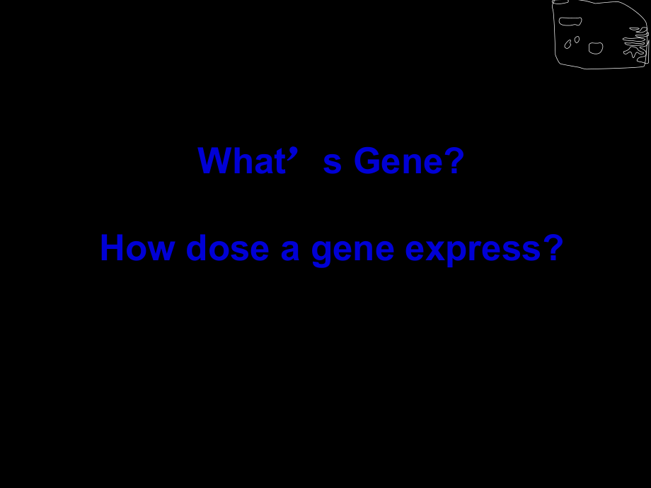 最新Gene Replication and Expression(共126张PPT课件).pptx_第2页